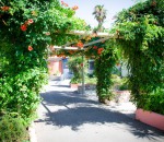 Malibu Village - Gardens