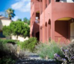 Malibu Village - Gardens